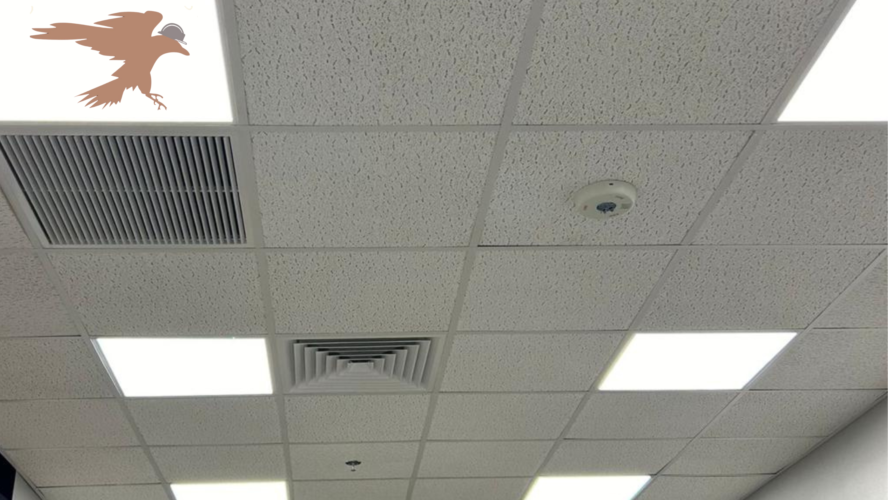 Ceiling Grid Systems